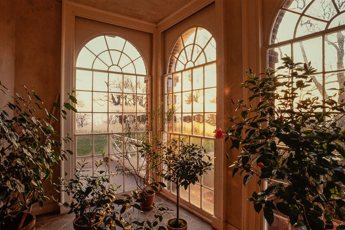 Thomas Jefferson No 13, Monticello Interior