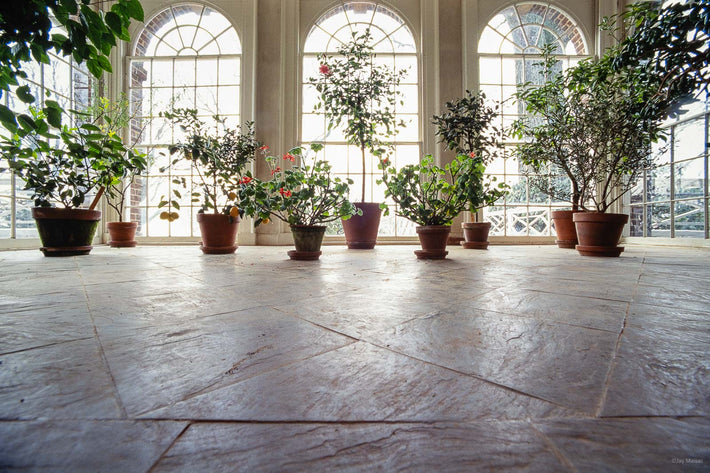 Thomas Jefferson No 14, Monticello Interior