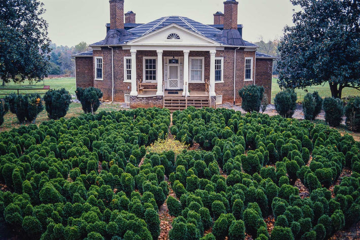 Thomas Jefferson No 33, Poplar Forest