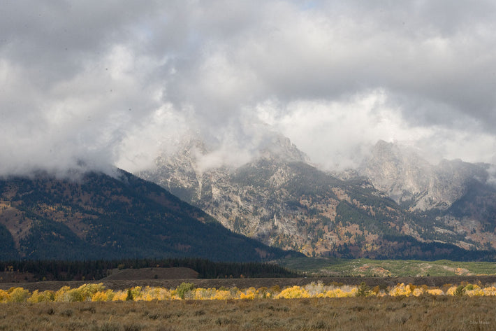 Jackson, WYO No 63