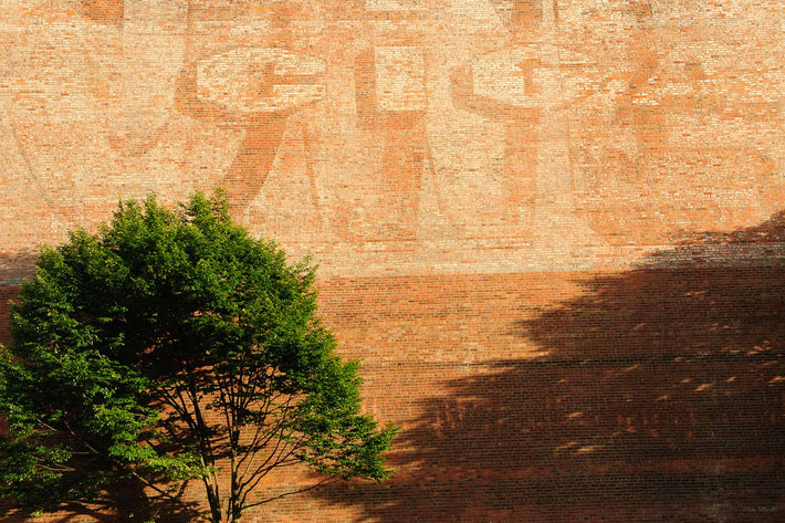 Brick Wall and Tree, Seattle