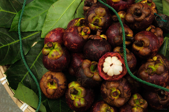 Mangosteen Fruit, Shanghai