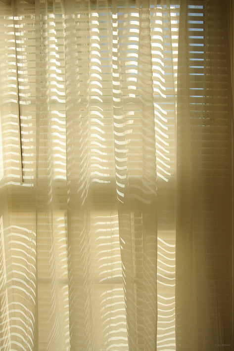 Striped Light on Curtain, Maine