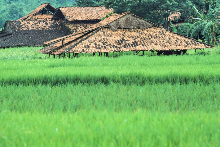 Tiled Roof Structures, Jakarta