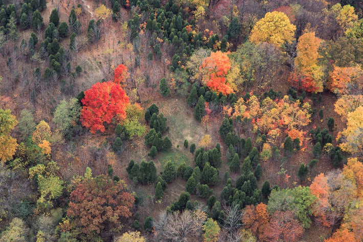 North Carolina