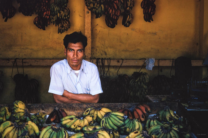 Man, Bananas, San Cristobal