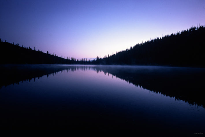 Trees Reflection in Lake