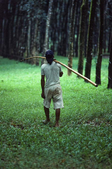 Man with Pole, Jakarta