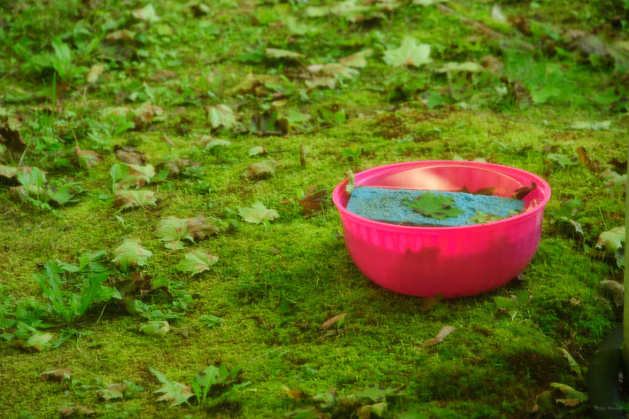 Pink and Green 1, NYC