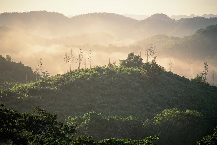 Mountains, Mist, Jamaica