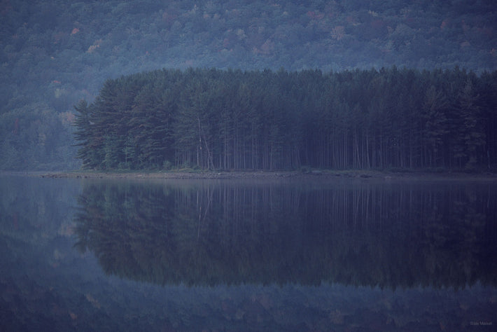 Stand of Trees, Lake