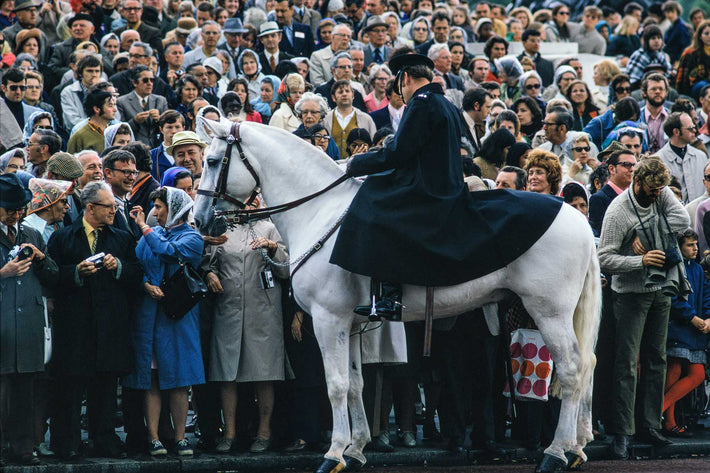 Cop, Horse, Crowd, London