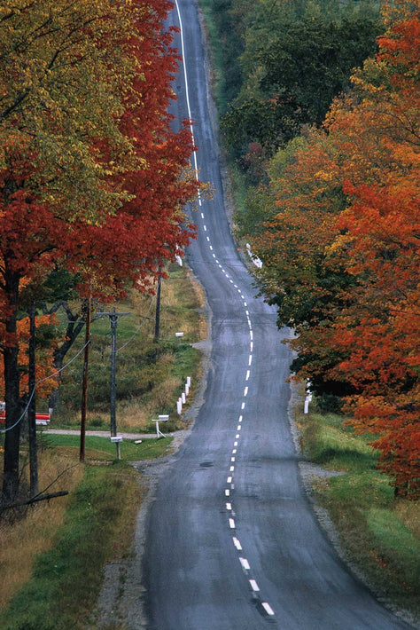 Autumn in Maine